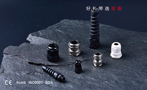 METAL CABLE GLAND(TYPE PG)
